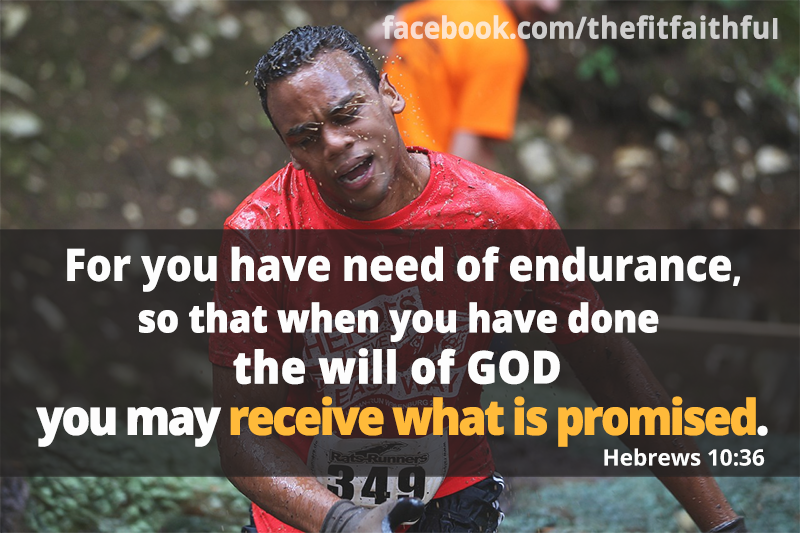 Hebrews 10:36